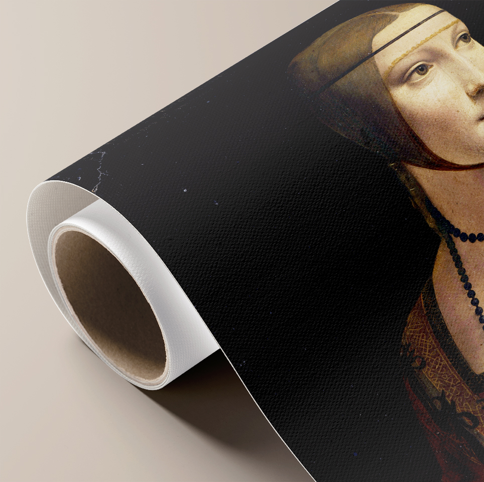 LADY WITH AN ERMINE BY LEONARDO DA VINCI visual data 3